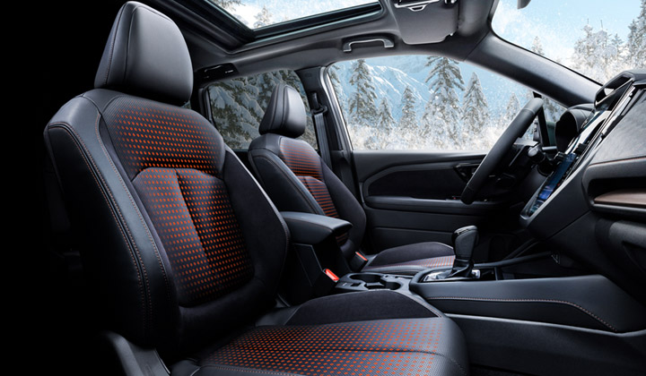 <sg-lang1>Seat Heaters</sg-lang1><sg-lang2></sg-lang2><sg-lang3></sg-lang3>