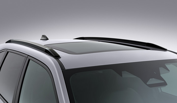 <sg-lang1>Roof Rails (low profile)</sg-lang1><sg-lang2></sg-lang2><sg-lang3></sg-lang3>